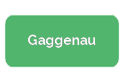 Ремонт духовых шкафов Gaggenau