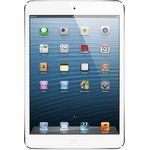 Ремонт iPad Mini